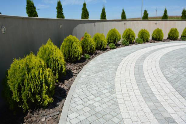 Best Driveway Pavers Near Me  in Poth, TX